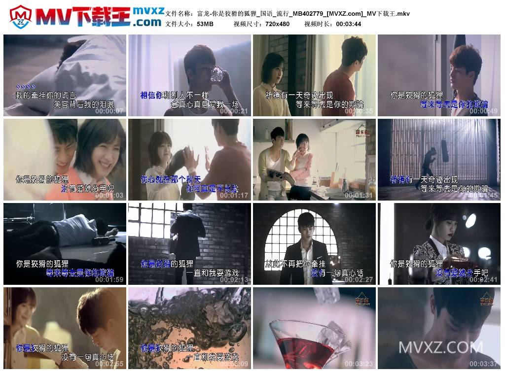 富龙-你是狡猾的狐狸_国语_流行_MB402779